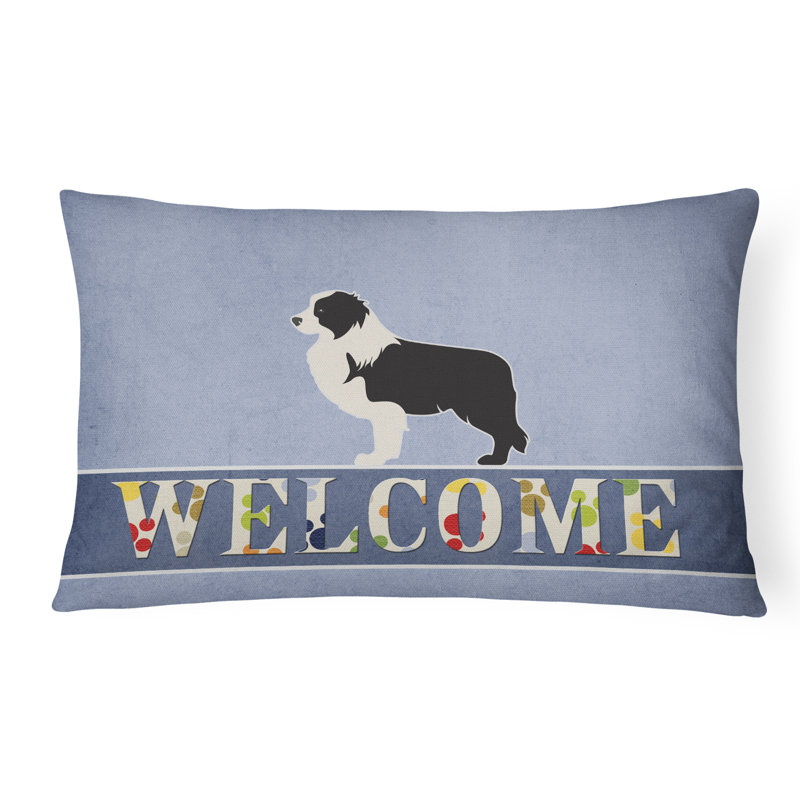  Coussin Border Collie