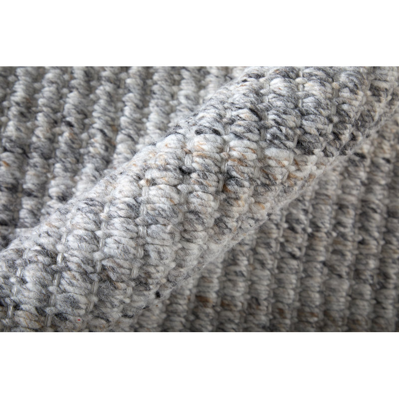 Limerick Hand Woven Recycled P.E.T Solid Color Area Rug in Gray, Rectangle 5' x 8'
