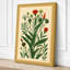 Flowering Plant Study Botanical - Wrapped Canvas-993088552-993088565