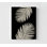 Impression de feuilles de palmier, art mural encadré de plantes tropicales, impression de décoration murale botanique, art mural encadré, art mural surdimensionné