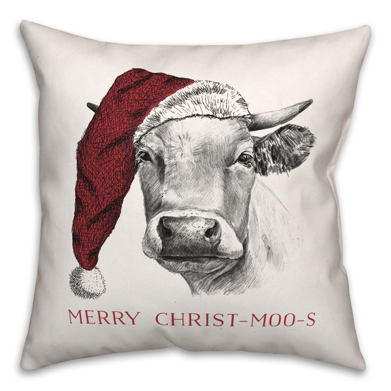  Housse de coussin carré et insert