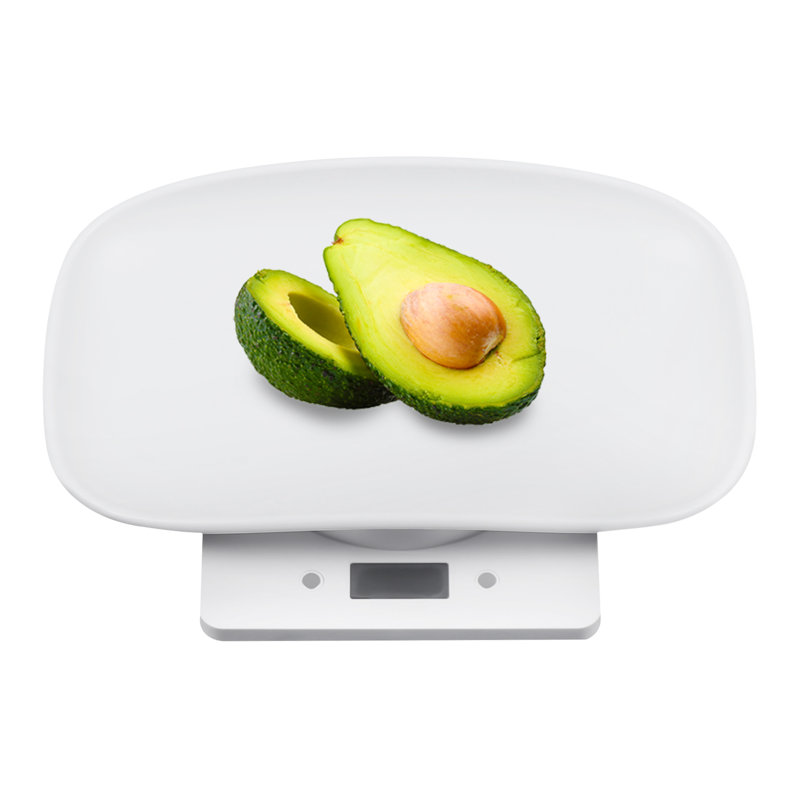 22lbs Digital Animal Scale