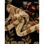 Tapis oriental noir Aracelia-1230544597-1336872007
