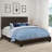Mielke Vegan Leather Standard Bed-408080050-408080041