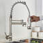 Belfry Kitchen Keenes Pull Down Kitchen Faucet