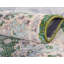 Kalf Green/Ivory Rug-1329843444