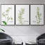 Fresh Sprig Persil, ensemble de 3 pièces encadrées sur toile-97795309-97795314