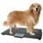 Redmon Digital Physician Scale