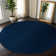 Arturas Non-Slip Area Rug