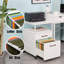 18'' 2 Drawer Lockable Mobile File Cabinet (Fits Letter/A4)-1184771510
