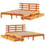 Aarunya Solid Wood Storage Bed-701658834