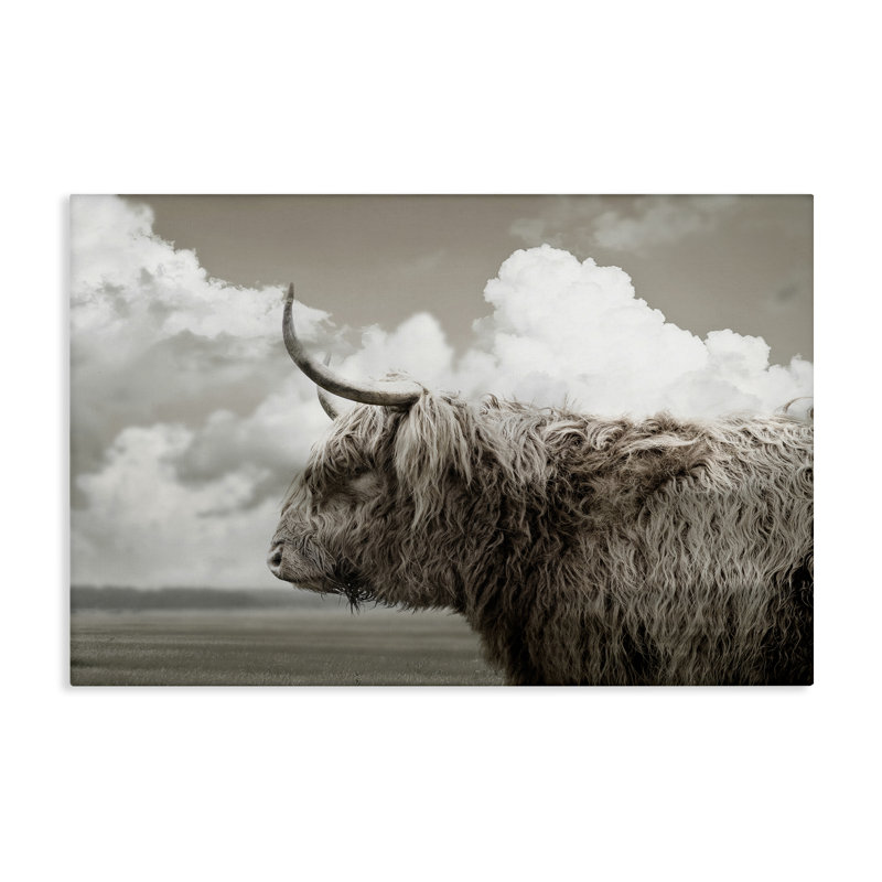 Art mural sur toile Longhorn, H 16 po x l 24 po