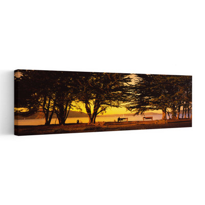 Trees In A Field, Crissy Field, San Francisco, California, Tranquil Abstract Contemporary City Nature Wall Art