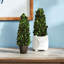 Alby Faux Plant-627489288