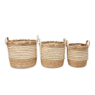 Beachcrest Home Box