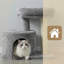 47cm H Cat Tree-248085651
