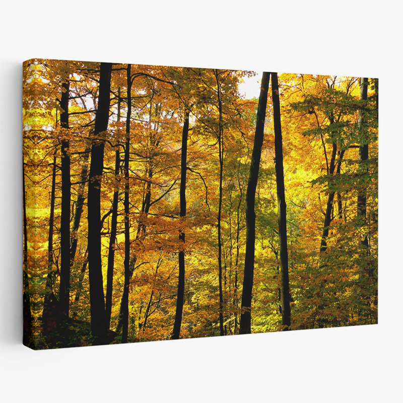 Couleurs d'automne arbre automne Art abstrait Art naturel Art contemporain, H 24 po x l 16 po