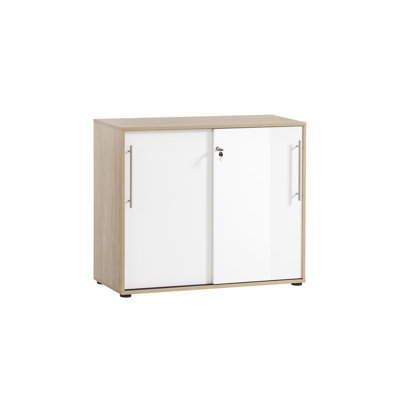 Kadyn 2 -Door Storage Cabinet