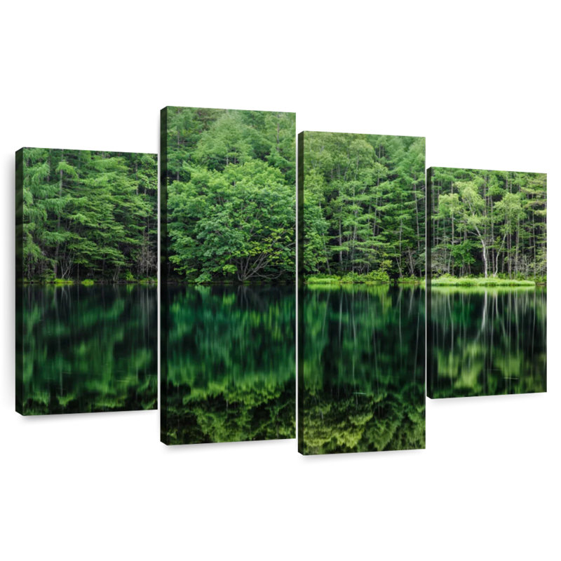 Alvord Mishakaike Forest