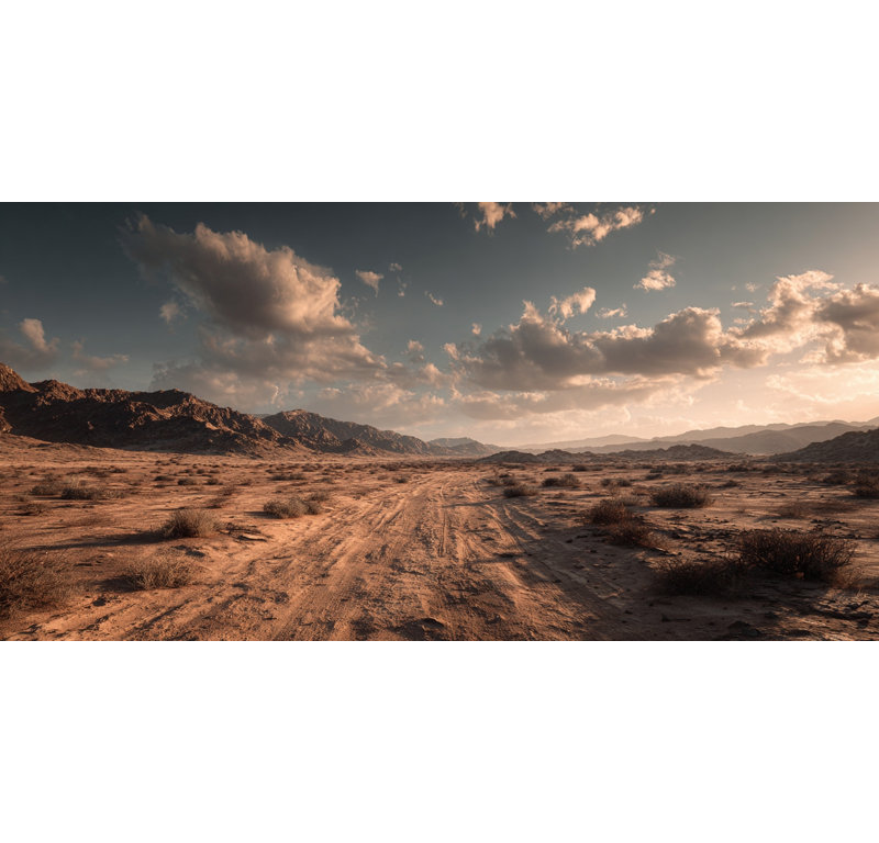 «Desert Pathway», art mural sur toile tendue, H 24 po x l 48 po x P 1,5 po