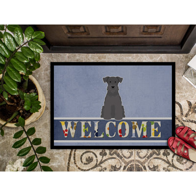 Non-Slip Outdoor Doormat