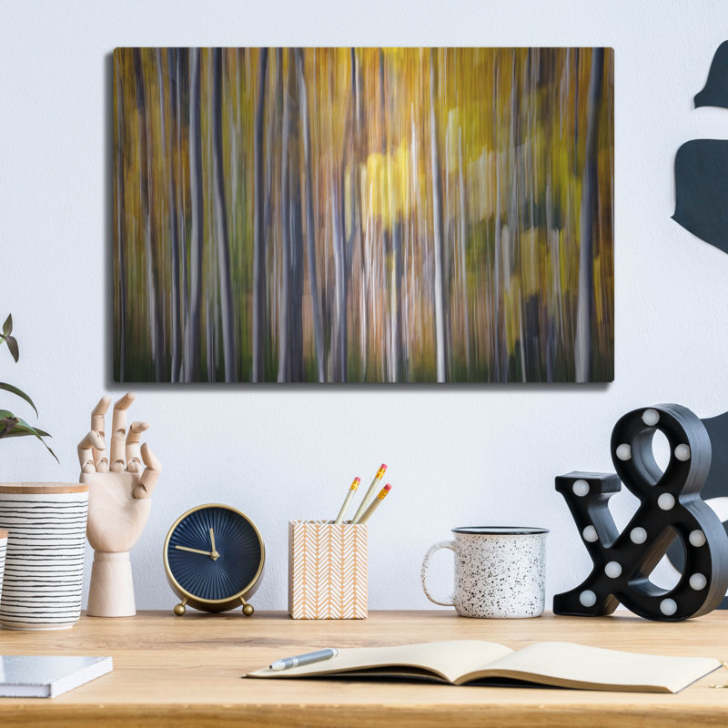 «Autumn Birches Abstract» par Rick Berk, H 12 po x l 16 po