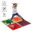 19.5'' L Plastic Playmat