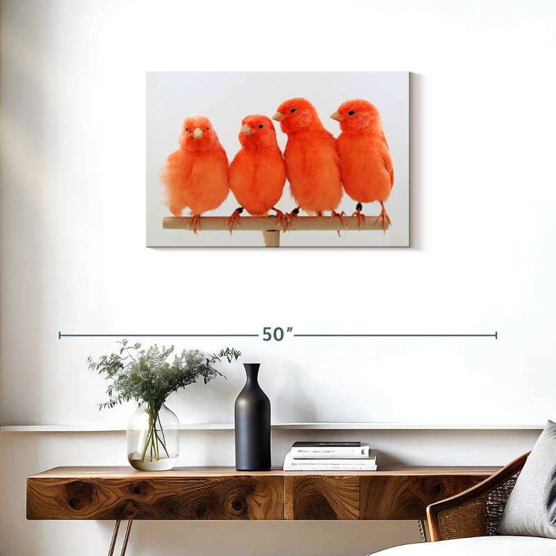 Canari rouge Brampt, H 20 po x l 30 po