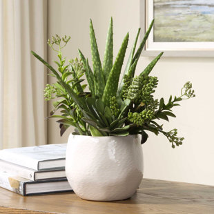 Pot à fleurs succulent Uttermost Sundown