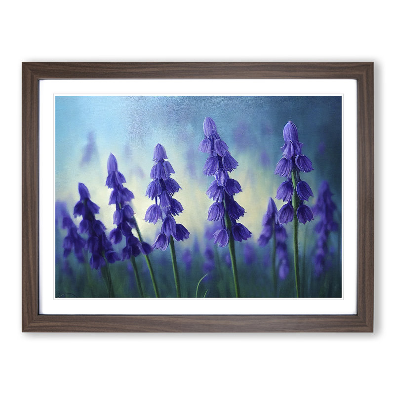 Bluebell Flower Vol.1 - Single Picture Frame Print, 46cm H x 64cm W x 2cm D, Walnut Framed