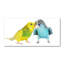 Budgies - No Frame Print on Canvas-276559514-276559513
