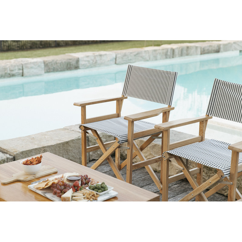 Laurens Folding Director Chair, Pink