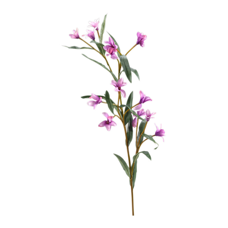 Spike Flower Stem