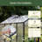 Junior Victorian 6.5ft Wide Outdoor Metal Polycarbonate Greenhouse-123221509