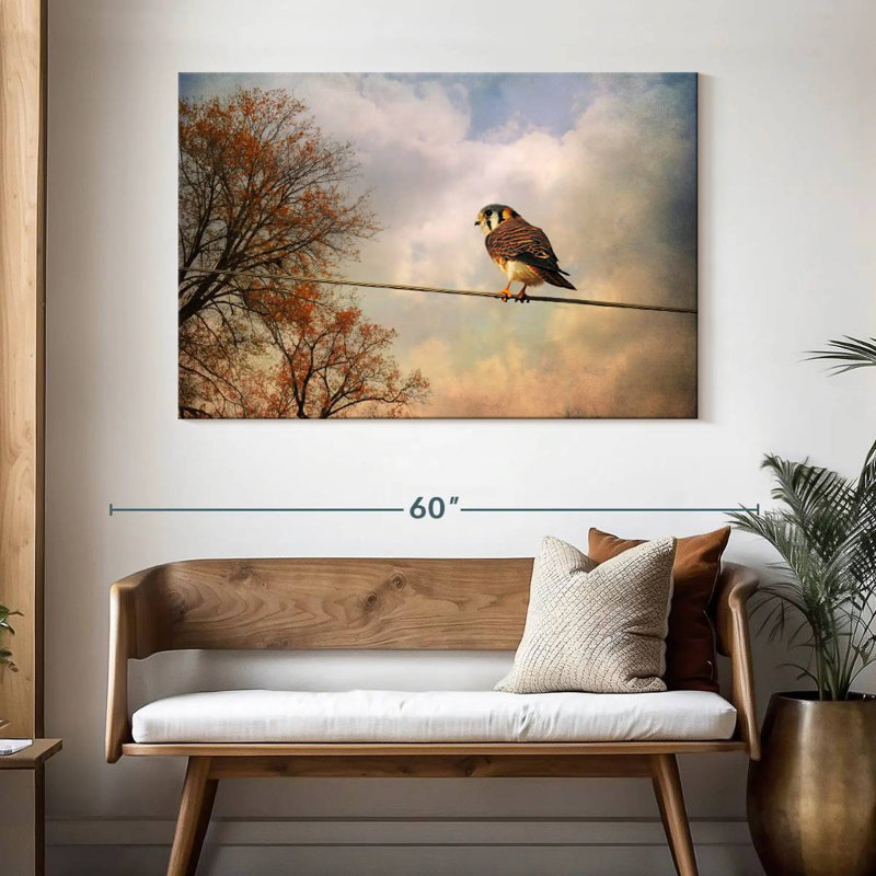 Brampt American Kestrel In Autumn, 32" H x 48" W