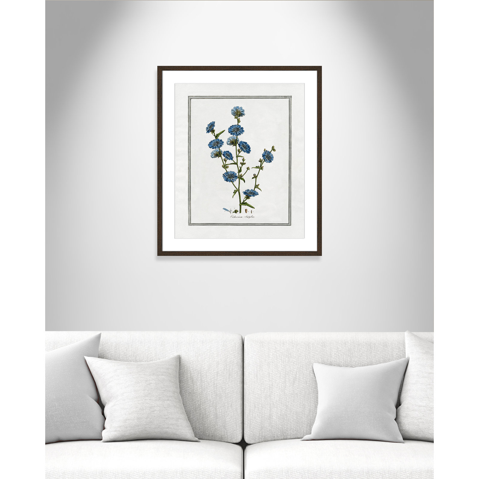 Colombe "Soft Botanical I" Print, 21.5" W x 25.5" H, Walnut Framed