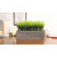 25 cm Artificial Grass in Planter-329398816