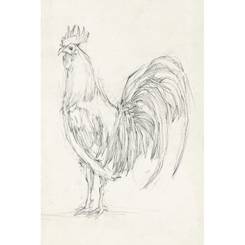 Rooster Sketch II by Ethan Harper - Wrapped Canvas Art Prints, 122cm H x 81cm W x 3.8cm D