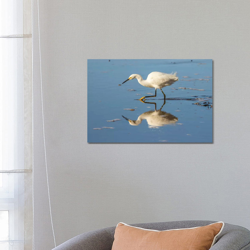 Usa, California, San Luis Obispo County. Snowy Egret Reflects In Ocean Water. by Jaynes Gallery - Wrapped Canvas Gallery-Wrapped Canvas Giclée