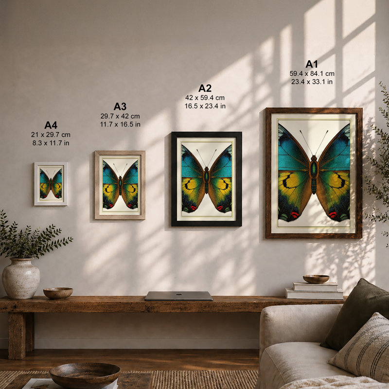 Print, Unframed, A1 - 84.1 x 59.4 cm