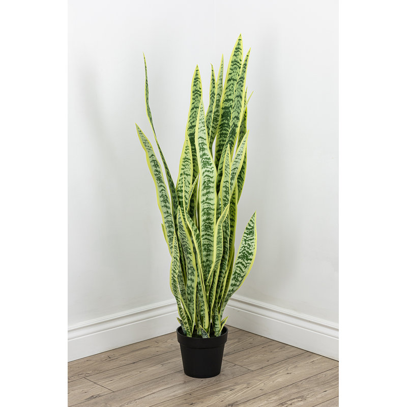 Fausse plante dracéna en pot Rummond, Vert et jaune, H 52 po x l 20 po x P 20 po