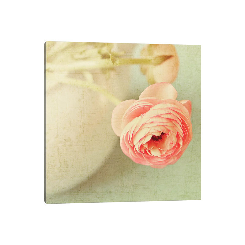 VIntage Peony by Sarah Gardner - Wrapped Canvas Gallery-Wrapped Canvas Giclée, 30.48 cm H x 30.48 cm W
