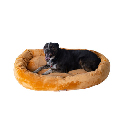 Beignet