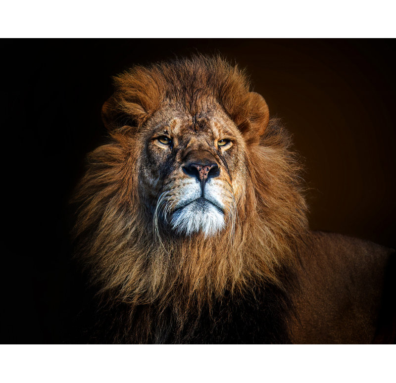 1 Piece Wrapped Canvas Wall Art, 60.96 cm H x 91.44 cm W