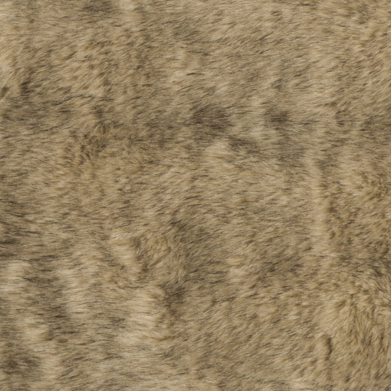 Tapis brun Taneytown, Rectangulaire 3 pi x 5 pi