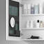 Armoire à pharmacie de salle de bain l 36 po x H 26 po, miroir à bord biseauté, grand espace de rangement, vue, calme, bois, style miroir blanc de 36 po, compartiment intérieur spacieux, visière, charnière de porte, d'ingénierie