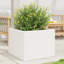 2 Wood Planter-100491928-100491941