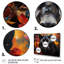 Panther Elusive Panther Collage - Animals Wall Decor-530924282-530924256