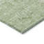 Tapis intérieur / extérieur lavable à la machine Chayden ACN1089 Aloe-109484171