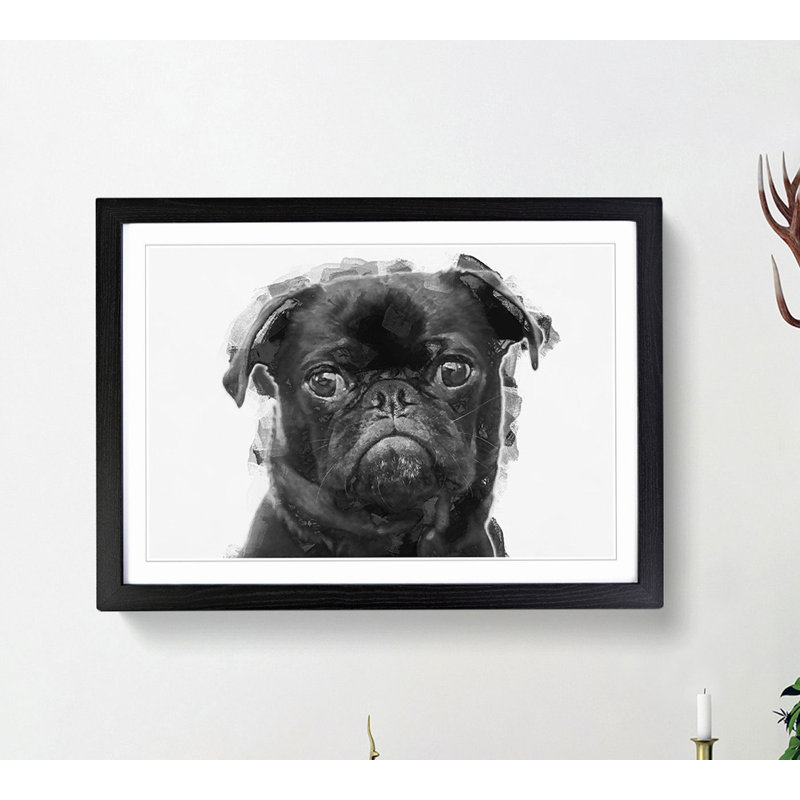 Pug Dog in Abstract - Framed Print, 50cm H x 76cm W x 2cm D, Black